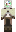 skin of a player