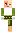 skin of a player