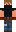 skin of a player