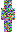 skin of a player