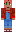 skin of a player