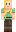 skin of a player