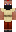 skin of a player