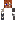 skin of a player