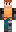 skin of a player