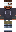 skin of a player