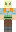 skin of a player