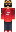 skin of a player