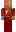 skin of a player