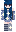 skin of a player
