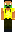 skin of a player