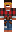 skin of a player
