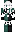 skin of a player