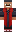 skin of a player