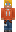 skin of a player