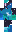 skin of a player