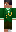 skin of a player