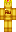 skin of a player
