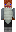 skin of a player