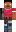 skin of a player