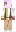 skin of a player
