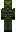 skin of a player
