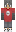 skin of a player
