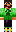 skin of a player