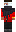 skin of a player