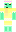 skin of a player