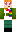 skin of a player