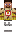 skin of a player
