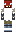 skin of a player