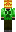 skin of a player