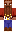 skin of a player