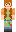 skin of a player