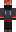 skin of a player