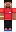 skin of a player