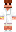 skin of a player