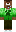 skin of a player