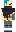 skin of a player