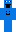 skin of a player