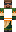 skin of a player