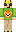 skin of a player