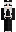 skin of a player
