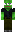 skin of a player