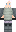 skin of a player