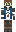 skin of a player