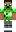 skin of a player