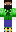 skin of a player